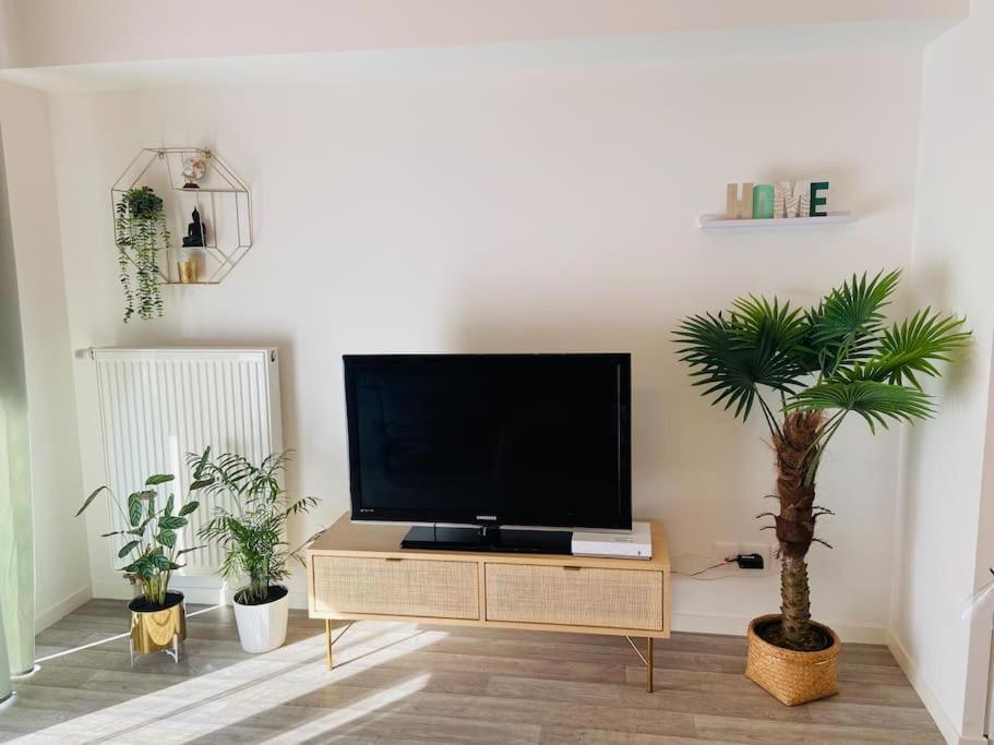 Le Saint Hilaire *T2* Apartman Orléans Kültér fotó